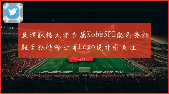 康涅狄格大学专属Kobe5PE配色亮相鞋舌独特哈士奇Logo设计引关注